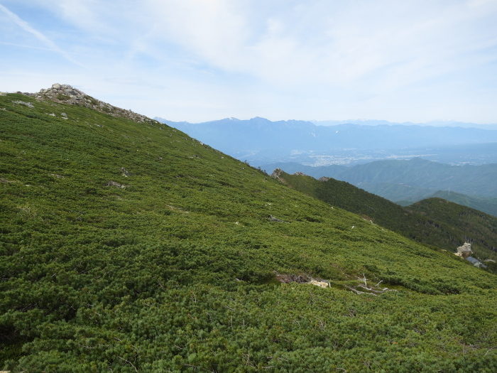 b0339488_21414755.jpg