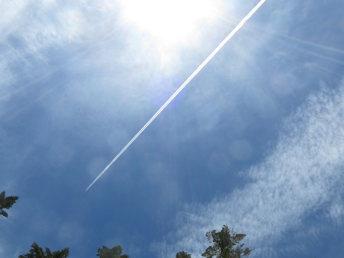 b0339488_21414835.jpg