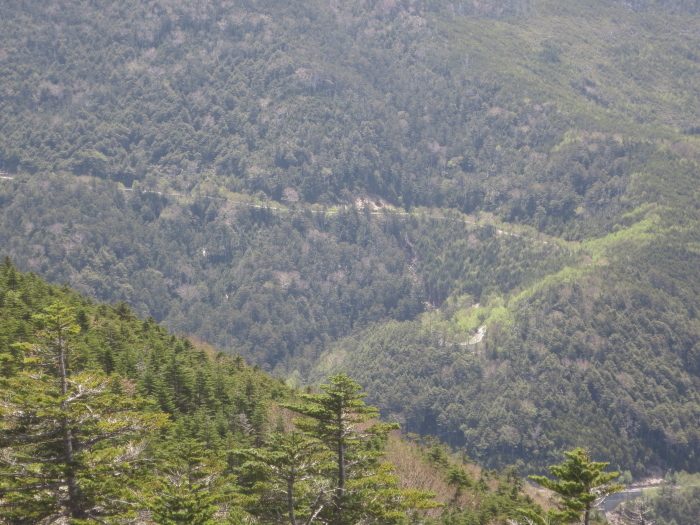 b0339488_21414890.jpg