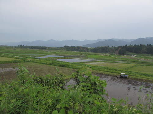 c0335990_18132148.jpg