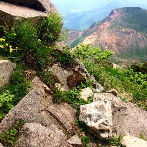 磐梯山【初夏の花 バンダイクワガタ】_a0129492_20092535.jpg