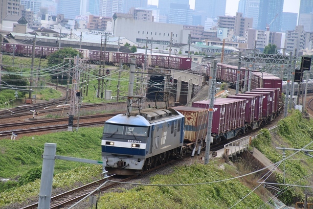 d0181492_22224367.jpg
