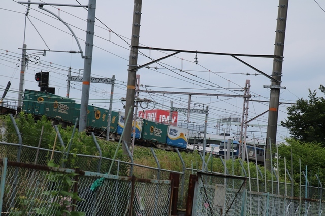 d0181492_23213691.jpg