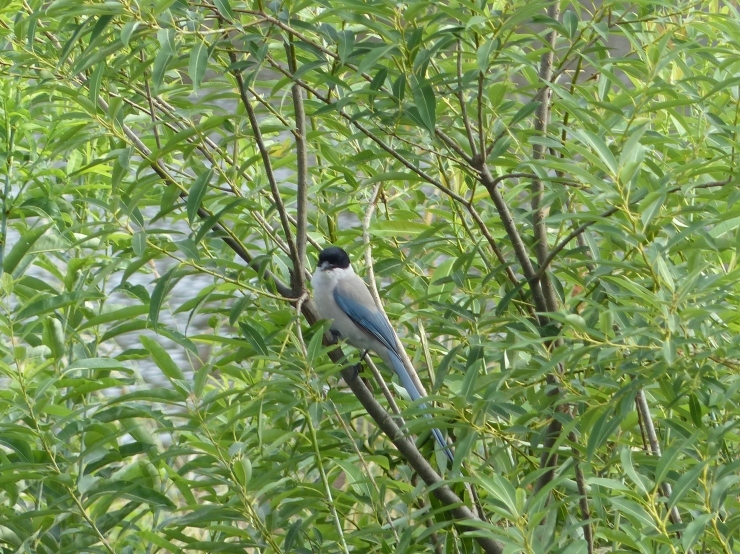 c0324393_17082310.jpg