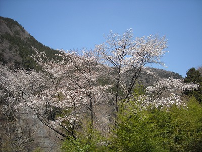 物部白髪山(旧物部村)_f0308898_9594328.jpg