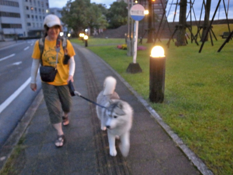 雨の日恒例 在庫処分まつり~♪ (^o^;_c0049299_22305165.jpg