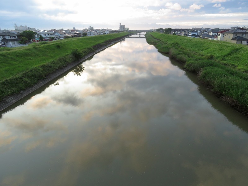 雨の日恒例 在庫処分まつり~♪ (^o^;_c0049299_22414659.jpg