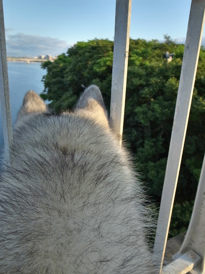 雨の日恒例 在庫処分まつり~♪ (^o^;_c0049299_2244551.jpg