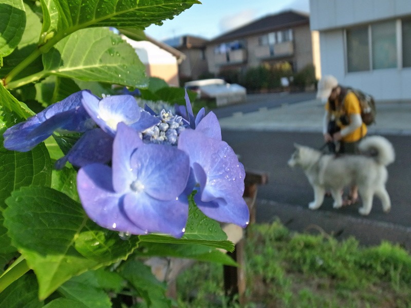 雨の日恒例 在庫処分まつり~♪ (^o^;_c0049299_22495752.jpg