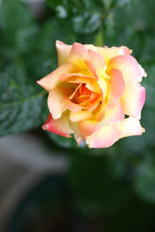 d0248502_21211156.jpg