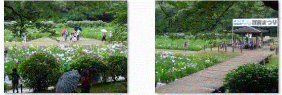 f0231709_111914.gif