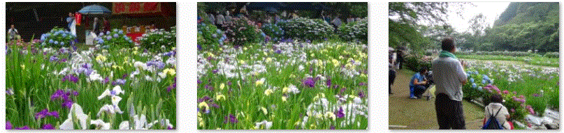 f0231709_1182673.gif
