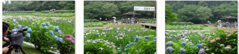 f0231709_1184258.gif