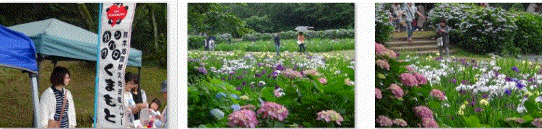 f0231709_1185639.gif