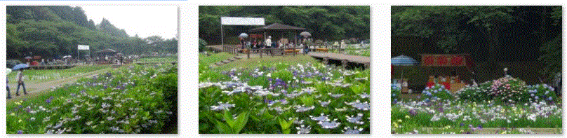 f0231709_118910.gif