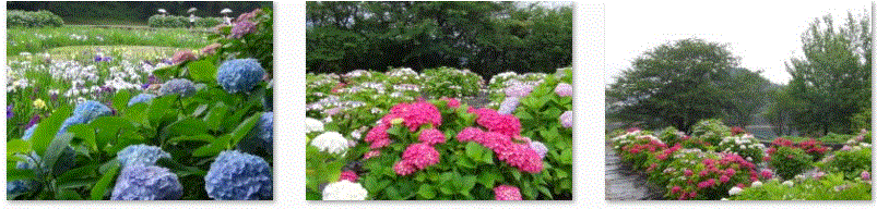 f0231709_1241495.gif