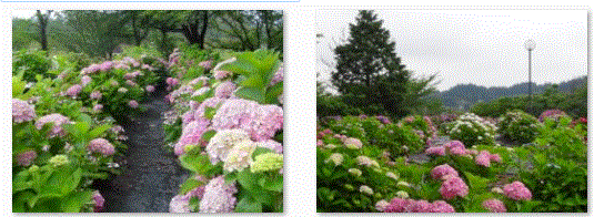 f0231709_124297.gif