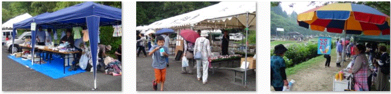 f0231709_193787.gif