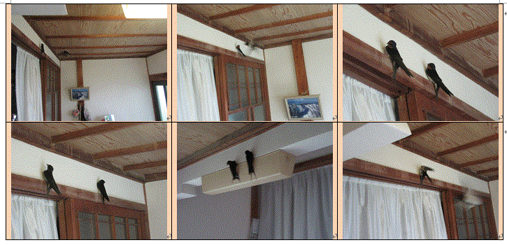 f0231709_9244943.gif