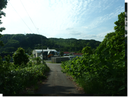 a0114514_18445129.png