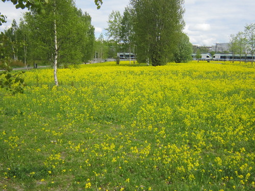 d0162225_034287.jpg