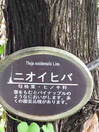 c0188928_18183950.jpg