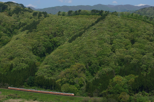d0223231_33409.jpg