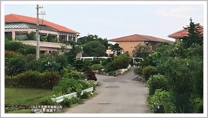d0017632_20253974.jpeg
