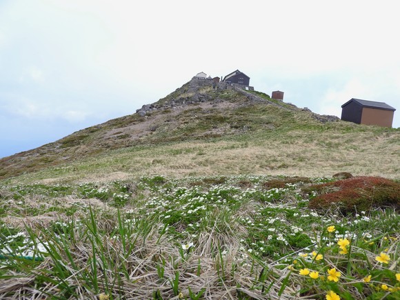 f0118332_13180.jpg