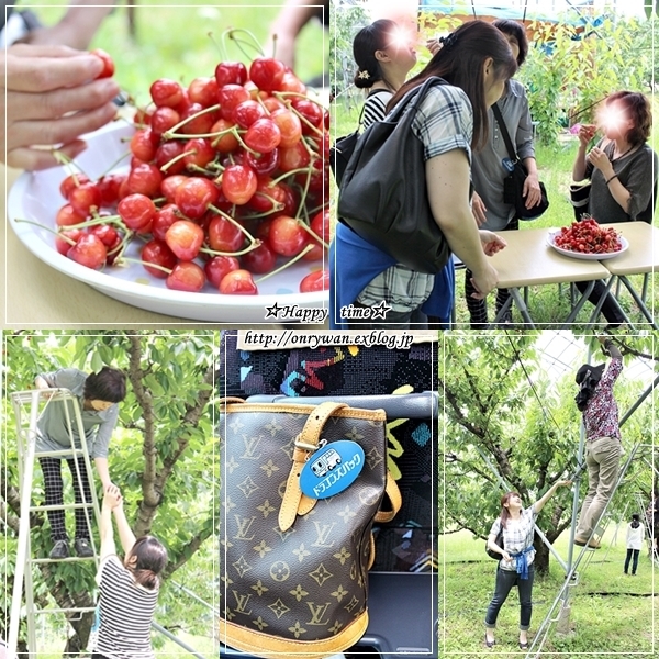 鮭フレーク三つ葉のおむすび弁当と山梨さくらんぼ狩り♪_f0348032_18432592.jpg