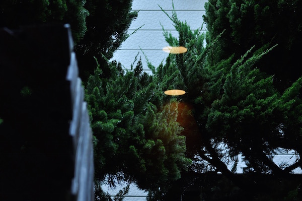 sound of rain_b0172633_2112893.jpg