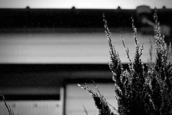 sound of rain_b0172633_21184666.jpg