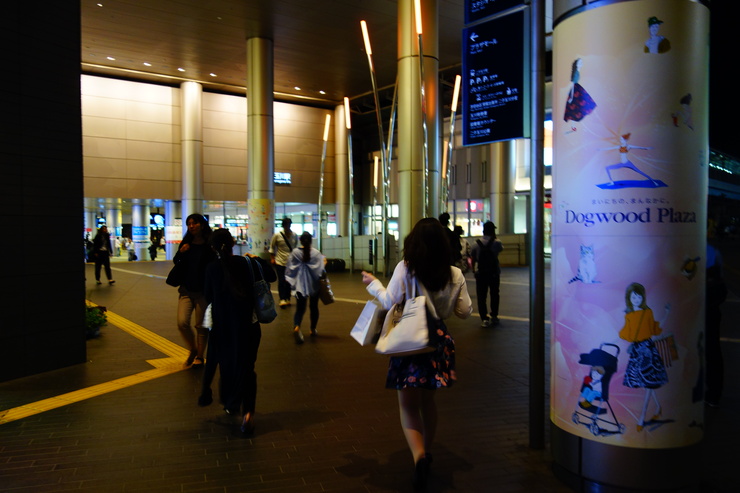 a0287336_1292662.jpg