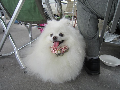 穴子オフ会(2)_b0177436_19295835.jpg