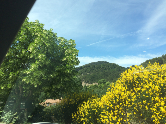 d0337937_01060258.jpg