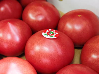 樹上完熟の朝採りトマトの販売に向け、私が見つけたトマトの美味しさと栄養や機能性_a0254656_17541843.jpg