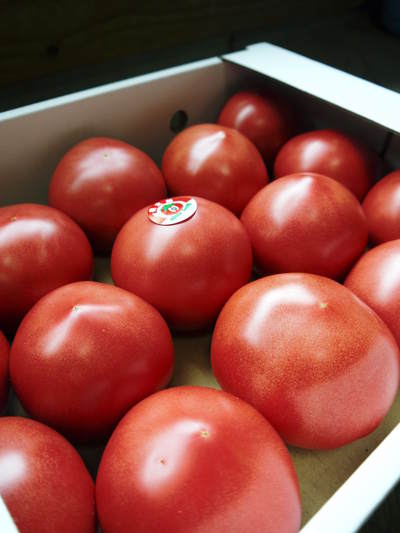 樹上完熟の朝採りトマトの販売に向け、私が見つけたトマトの美味しさと栄養や機能性_a0254656_1818871.jpg