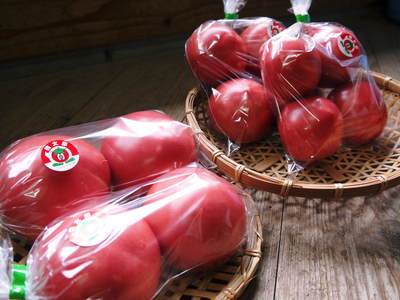 樹上完熟の朝採りトマトの販売に向け、私が見つけたトマトの美味しさと栄養や機能性_a0254656_1851945.jpg