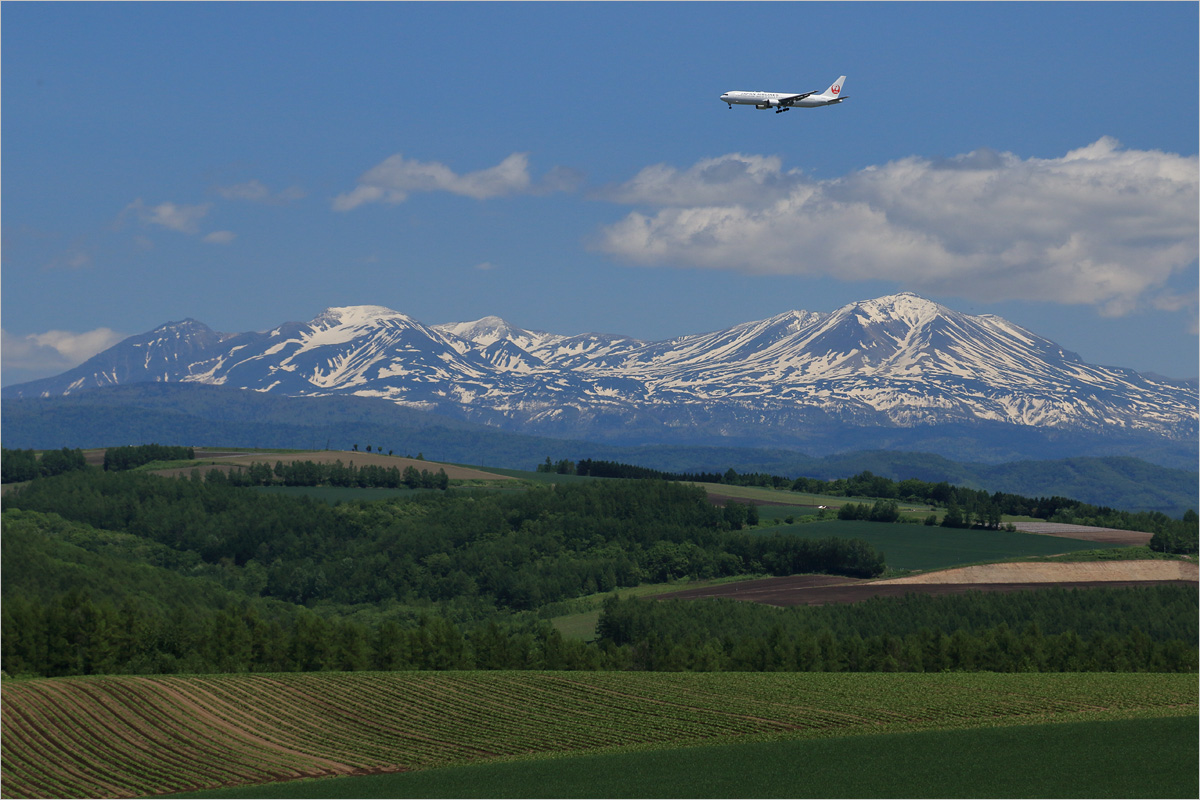 北の聖地 1 - 旭川空港_c0308259_2355039.jpg