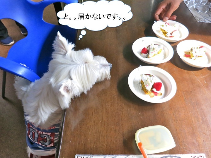 お友達のお誕生会でした。_c0260460_04320078.jpg