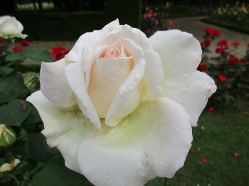 f0361764_18490061.jpg