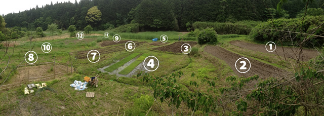 やつだ開拓団 6月田植えの様子レポート_c0177665_14302512.jpg