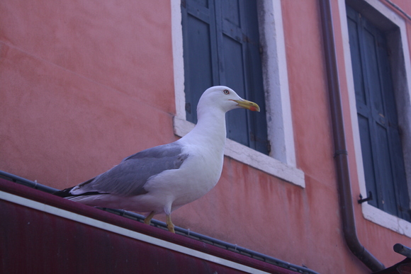 d0193569_14482066.jpg
