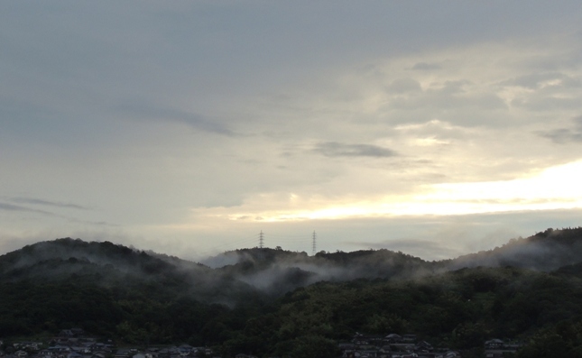 雨に潤い_b0366871_19003078.jpg