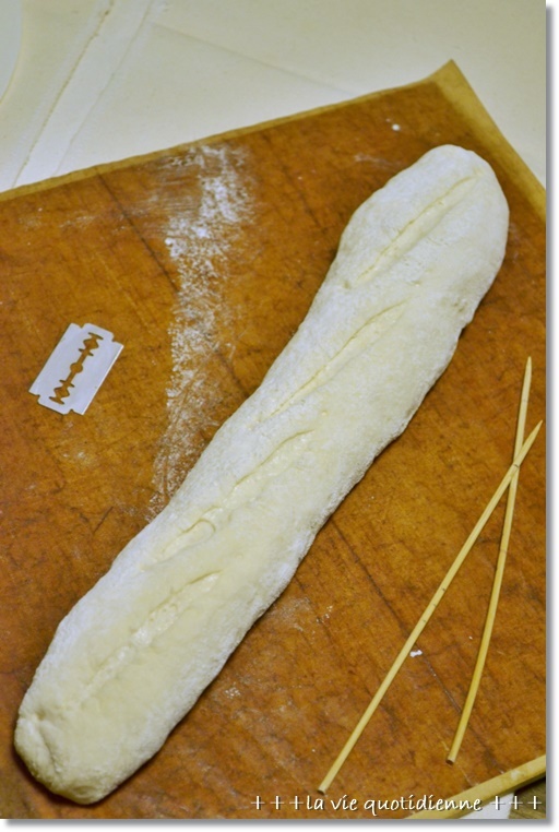 初焼きしたバゲットはオート機能で焼いてみた。_a0348473_08195816.jpg