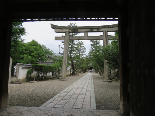 f0259373_11331989.jpg