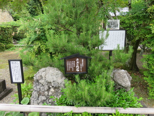 f0259373_11363907.jpg