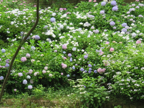 f0259373_11454772.jpg