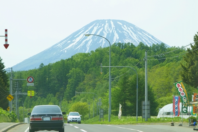 雄鹿　ウェスティン ルスツリゾートのロビーに佇む_d0332375_20312126.jpg