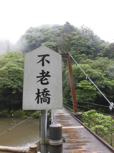 同窓会_b0231886_17540662.jpg